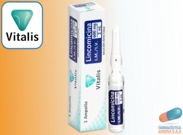 LINCOMICINA 600 MG AMPOLLA CAJA X UN